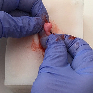 Feline Ovariohysterectomy (Spay) Model