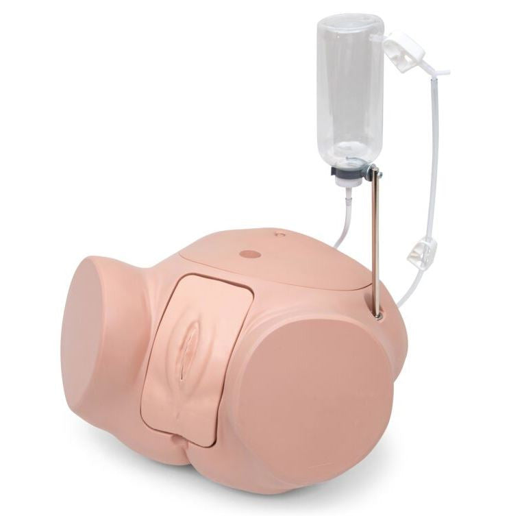 Catheterization Simulator PRO (Female)
