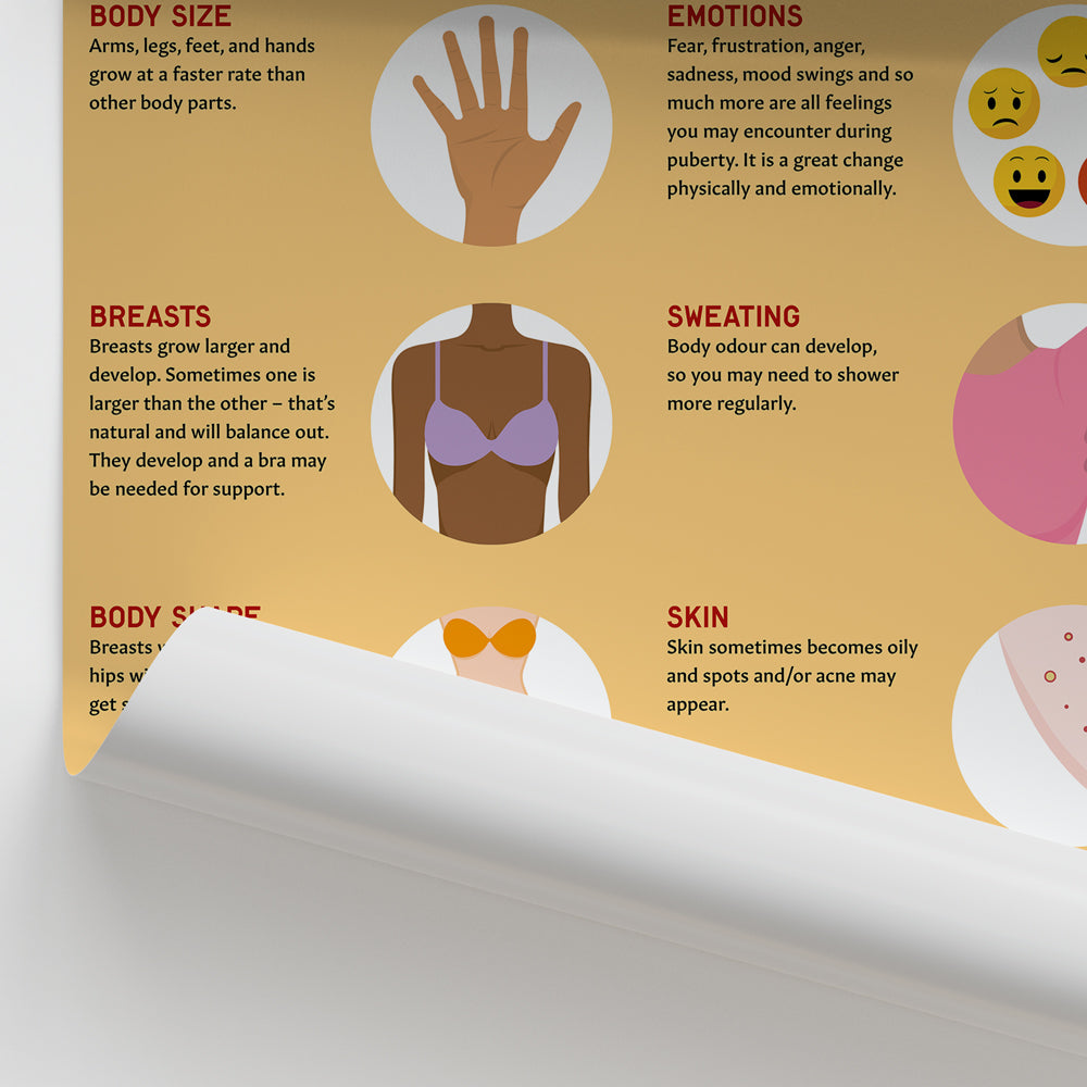 Female Puberty Chart / Poster - Part of Collection