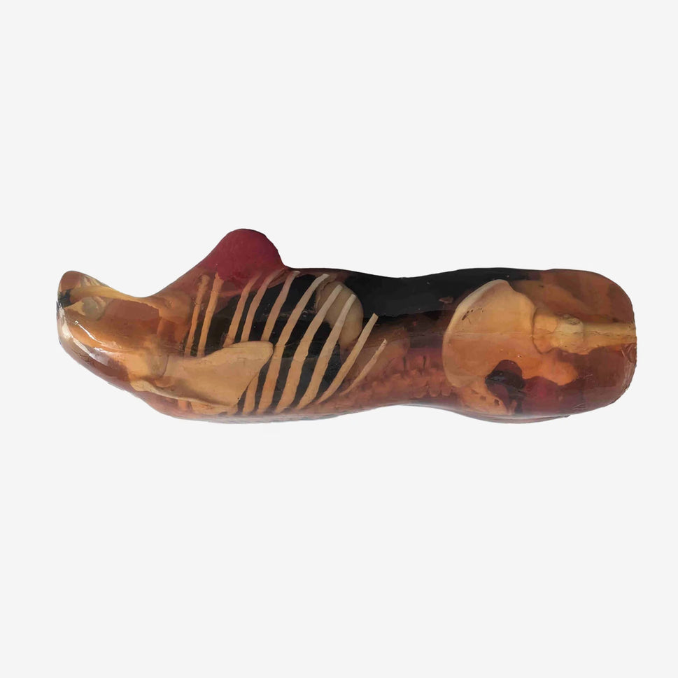 Adult Female Torso Phantom for X-Ray CT, MRI