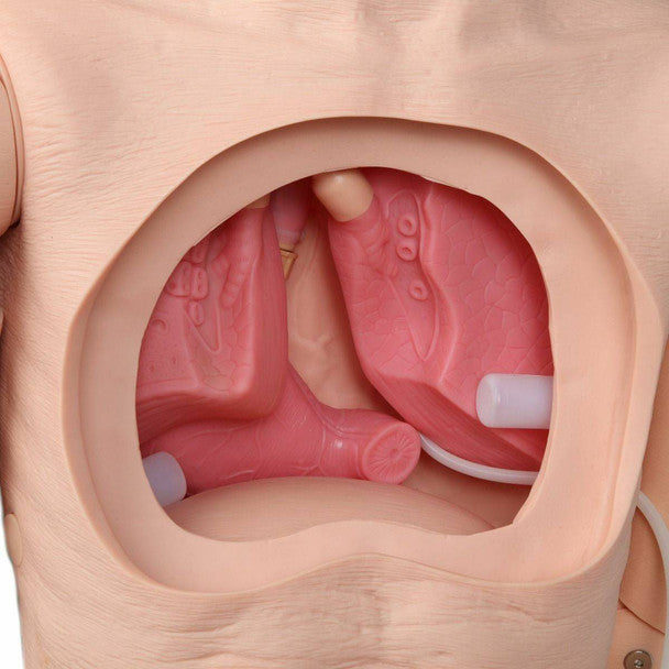 Advanced Full-body Geriatric Nursing Manikin