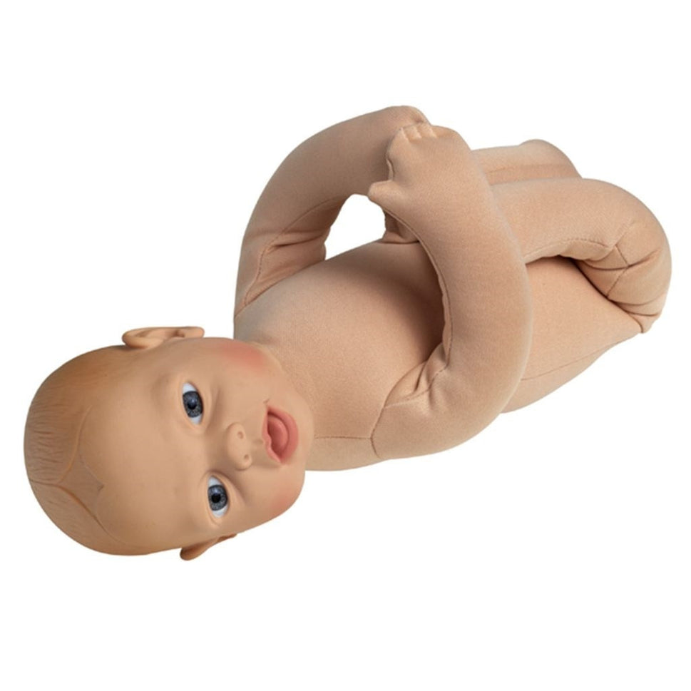 Foetal Doll Model