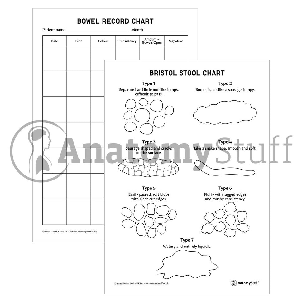 Food & Fluids Healthcare Pack (Printable PDFs)