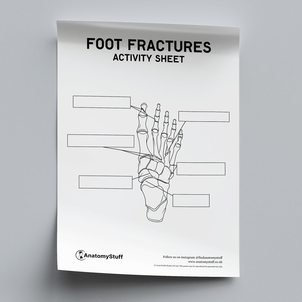 Foot Fractures Anatomy Activity Sheet PDF