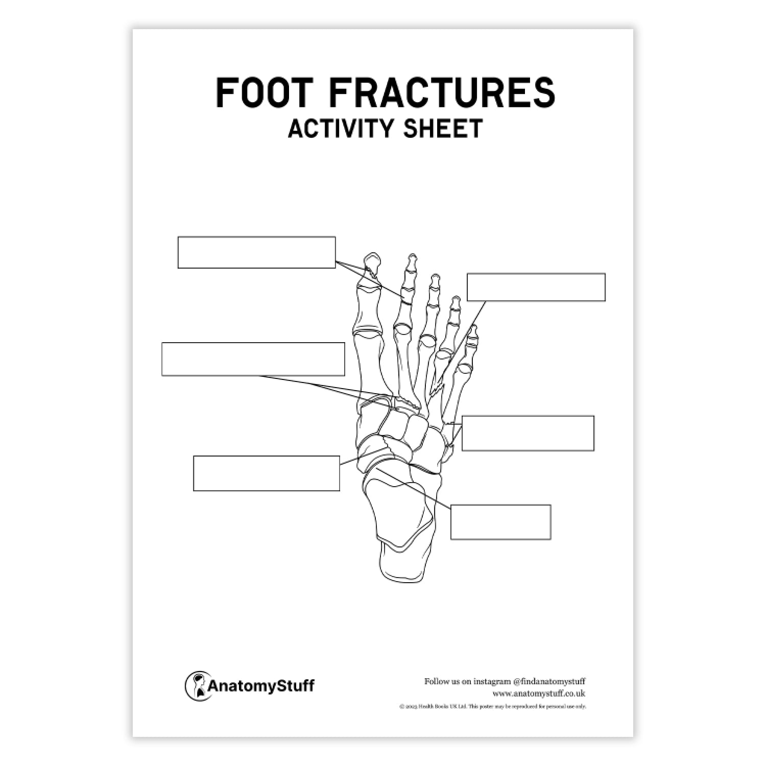 Foot Fractures Anatomy Activity Sheet PDF