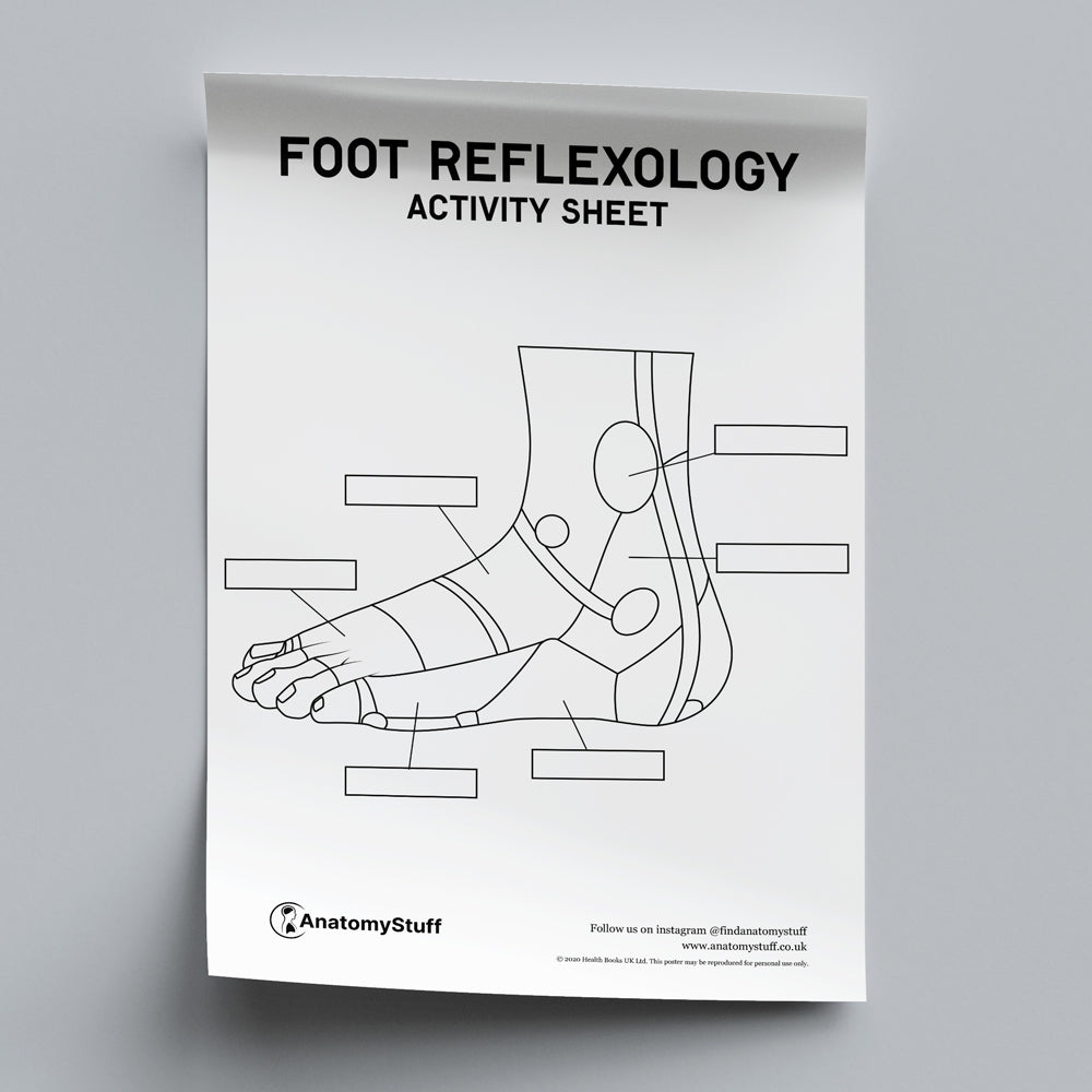 Foot Reflexology Activity Sheet PDF