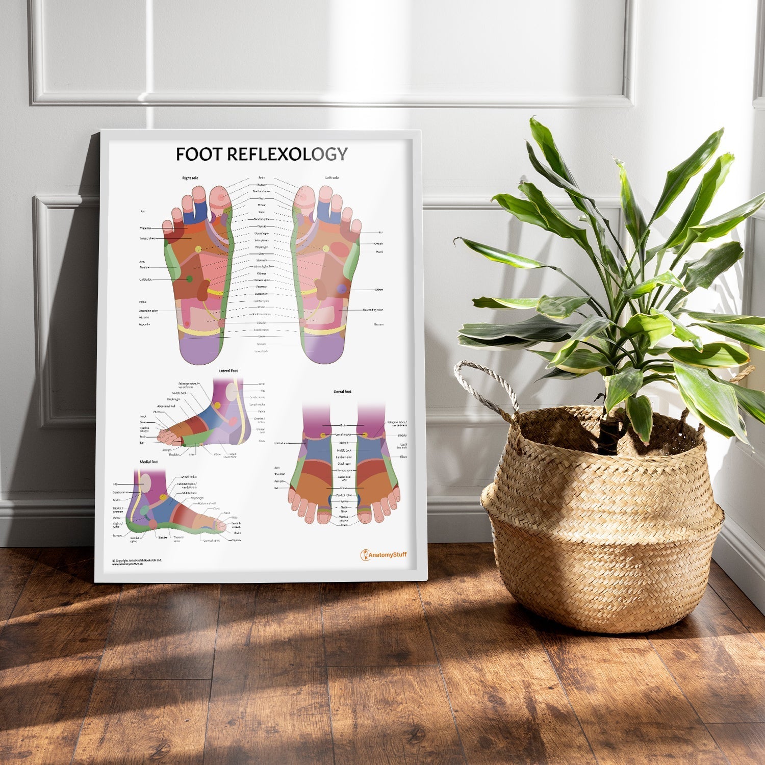 Foot Reflexology Chart / Poster - Part of Collection