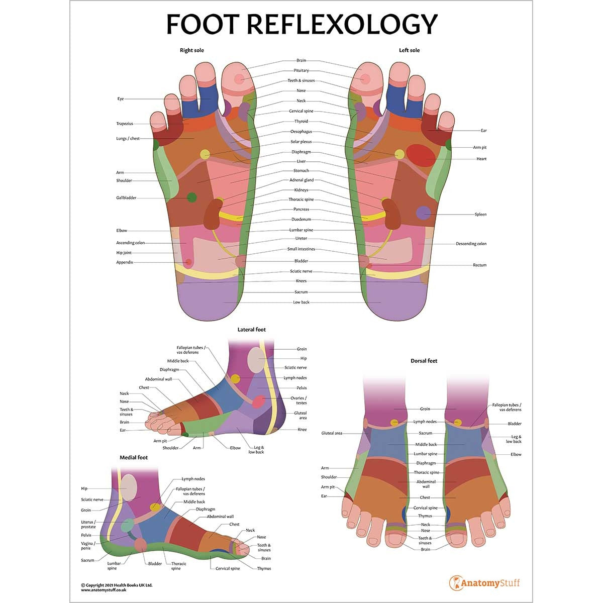 Reflexology 2 Poster Collection