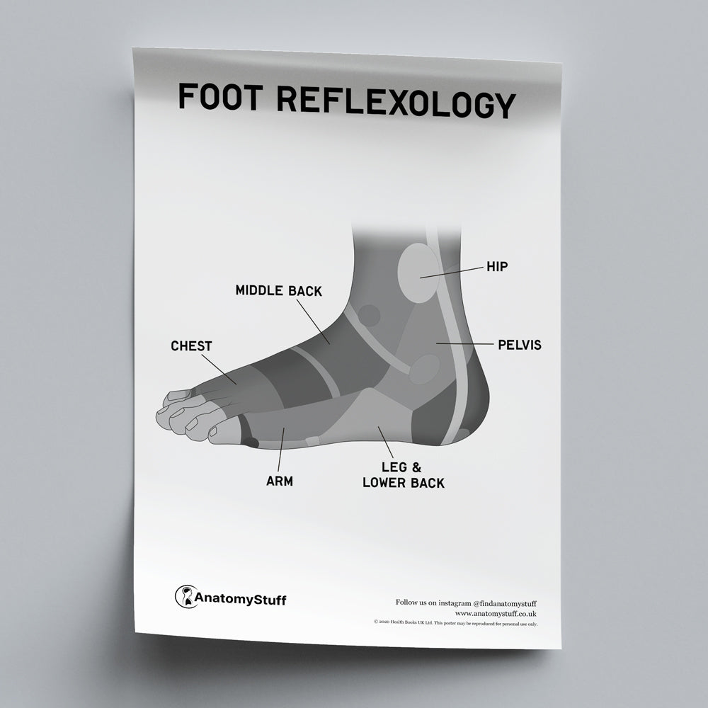 Foot Reflexology Poster PDF