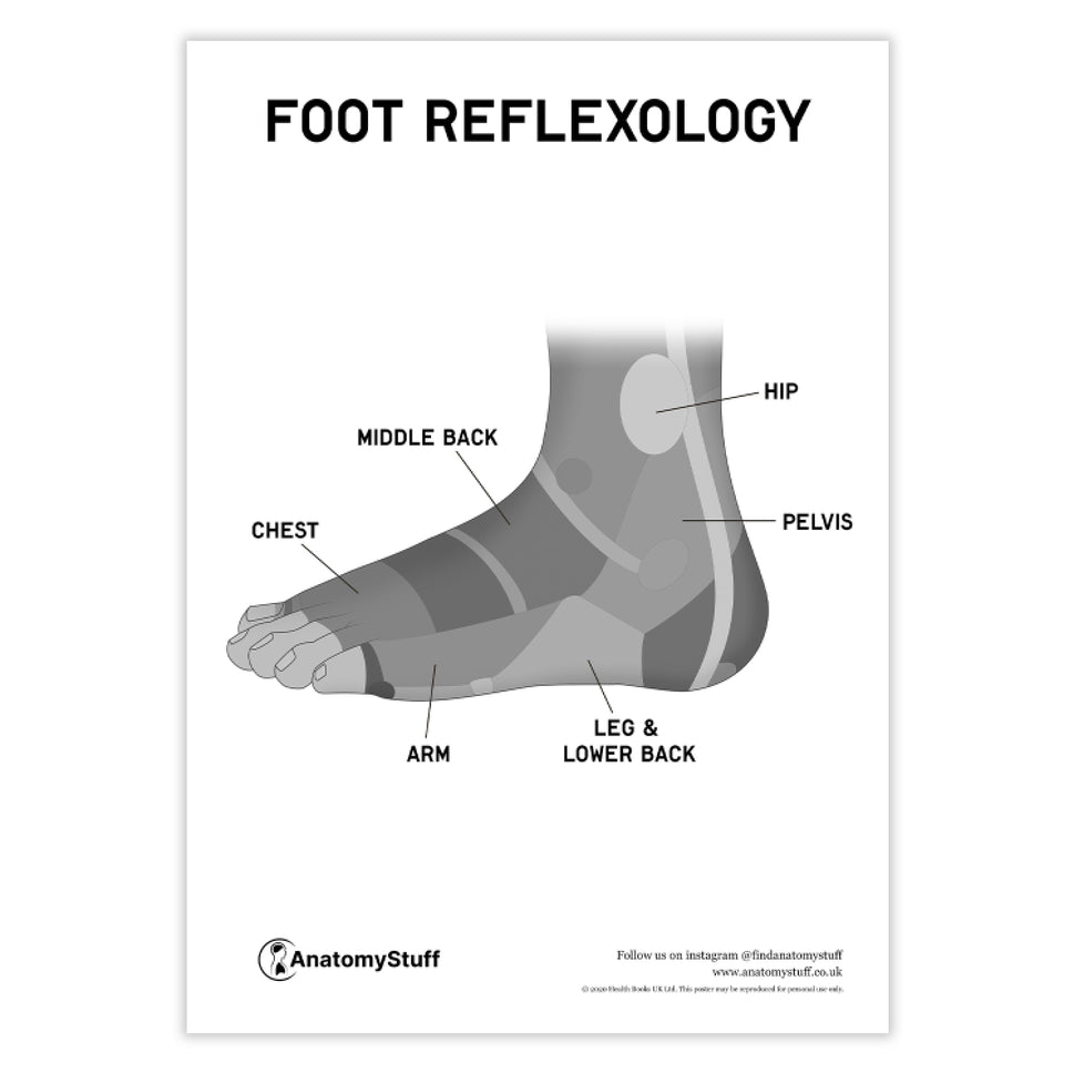 Foot Reflexology Poster PDF