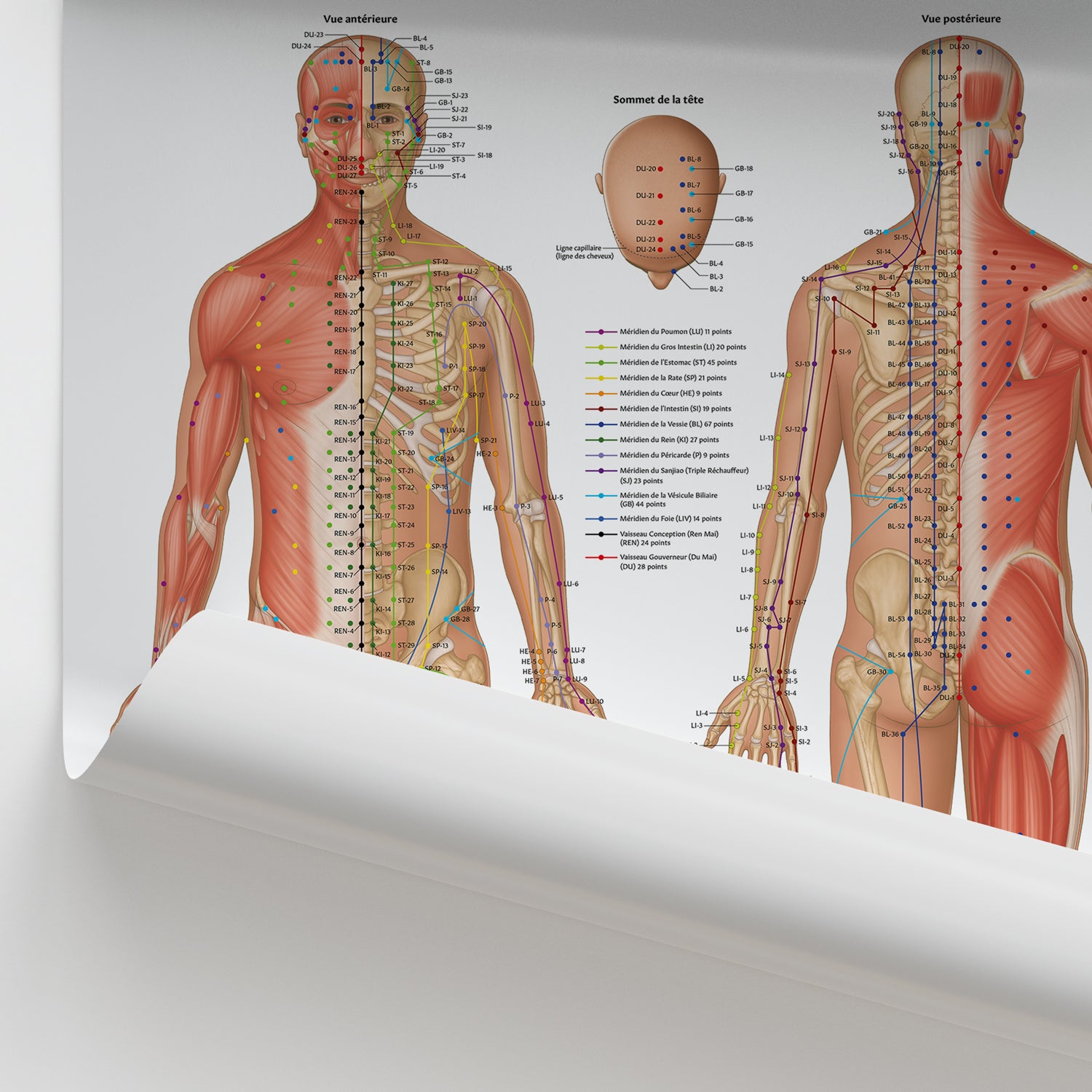 Points D'acupuncture Chart / Poster - French