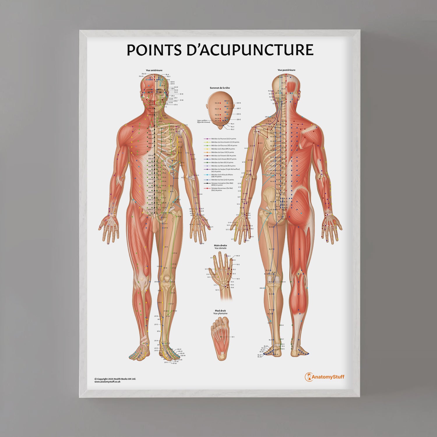 Points D'acupuncture Chart / Poster - French