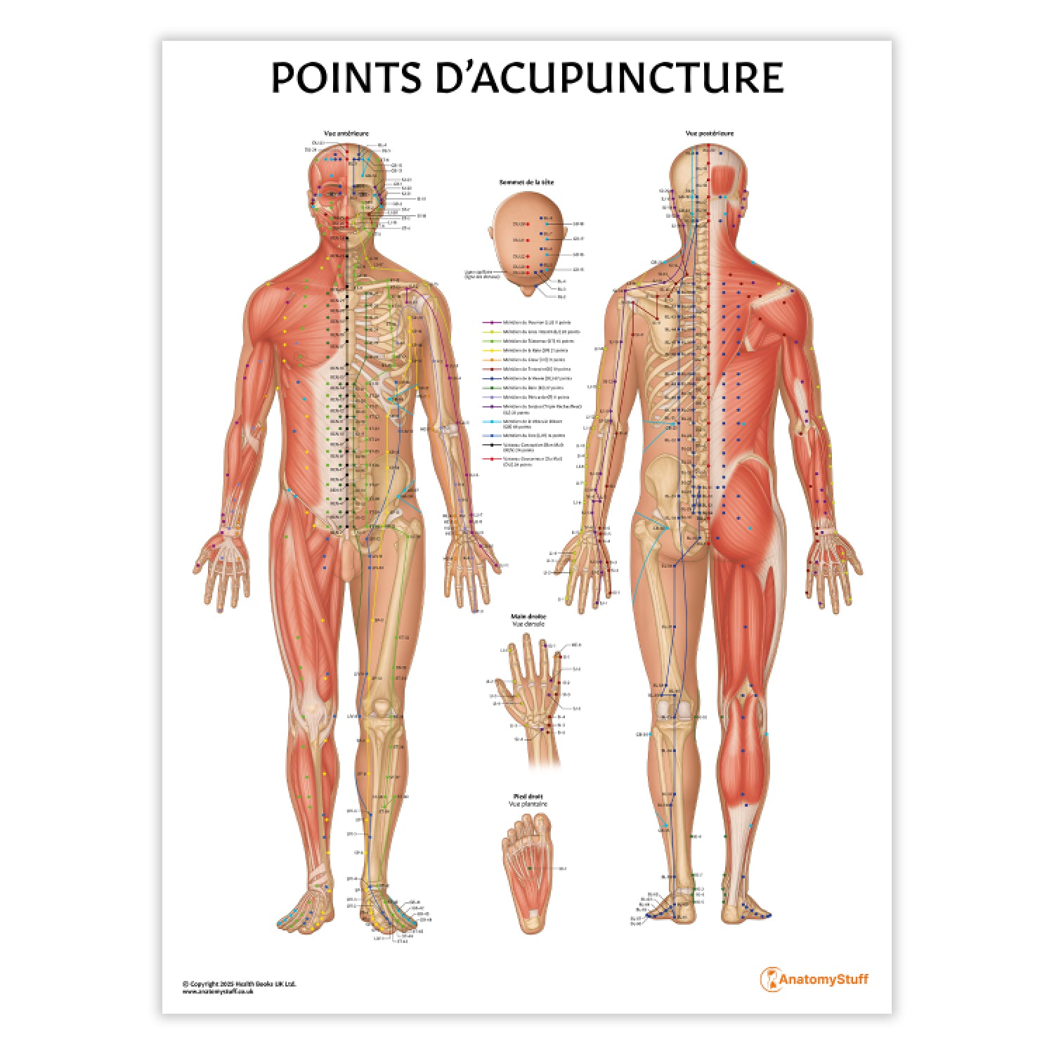 Points D'acupuncture Chart / Poster - French