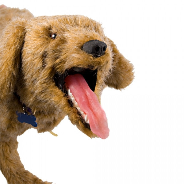 "Advanced Airway Jerry" Canine Breath/Heart Sound Simulator