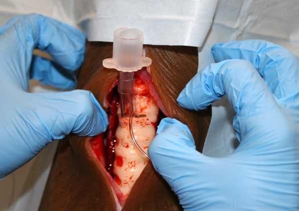 "Louie K9" Canine Tracheostomy Simulator