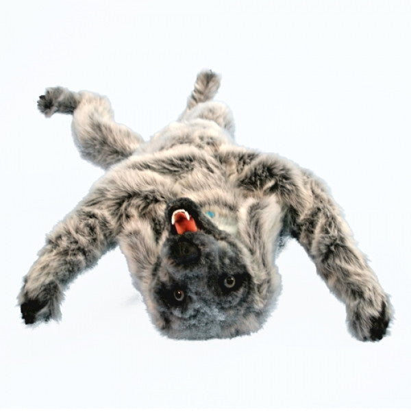 "Emily K9" Canine Positioning Manikin