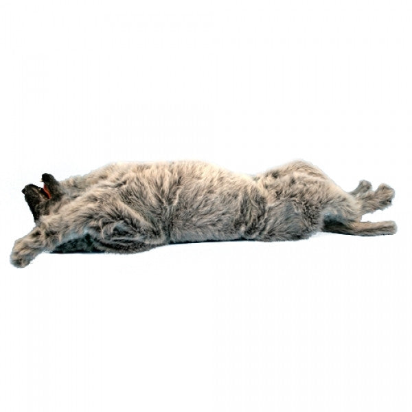 "Emily K9" Canine Positioning Manikin