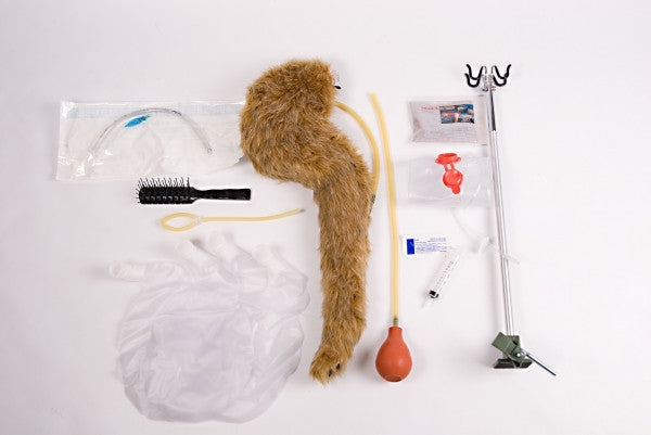 "Critical Care Jerry" Canine Simulator