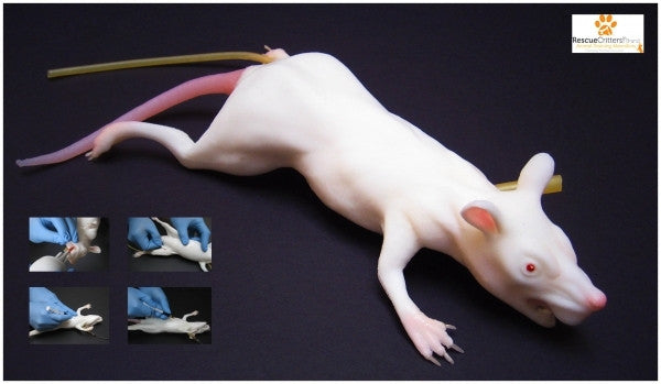 "Mimolette" Lab Rat Simulator