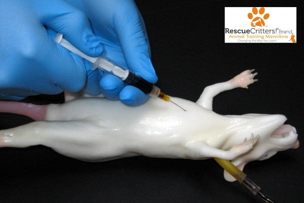 "Mimolette" Lab Rat Simulator