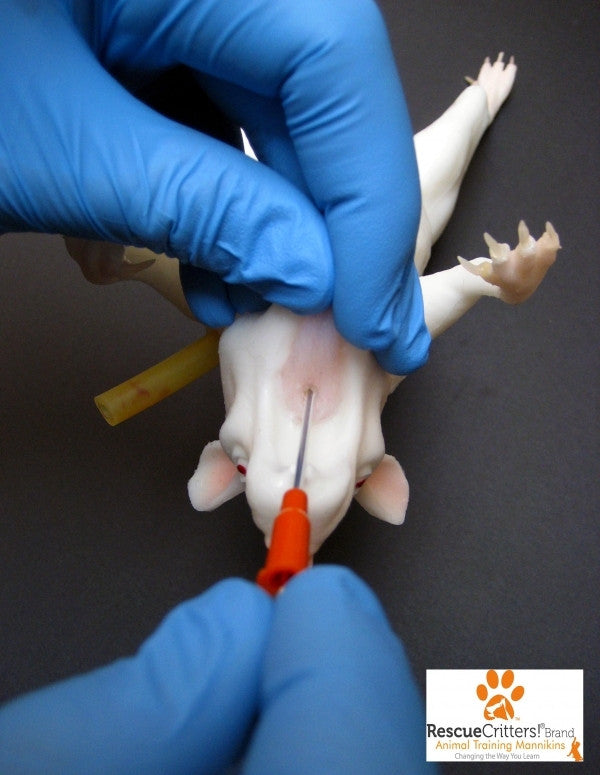 "Mimolette" Lab Rat Simulator