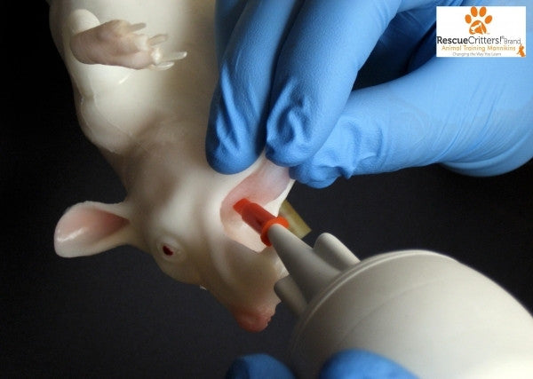 "Mimolette" Lab Rat Simulator