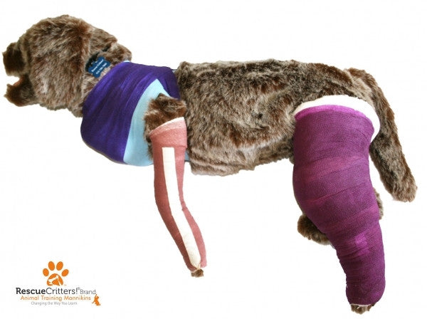 "Rufus" Canine Bandaging Manikin