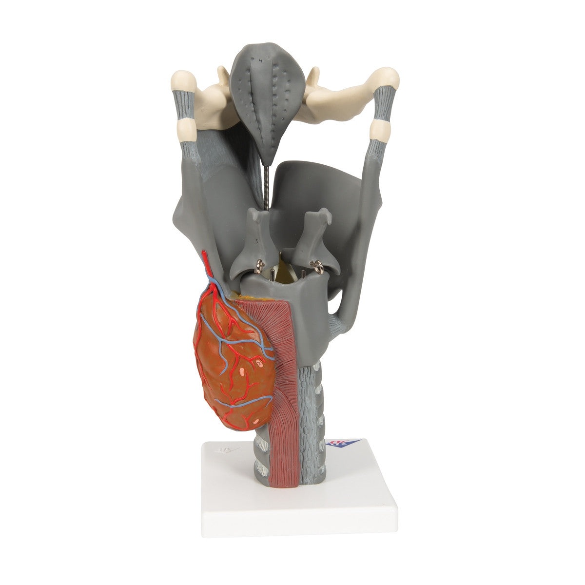 Image 4