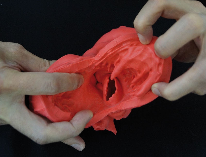 Flexible Heart Model 1