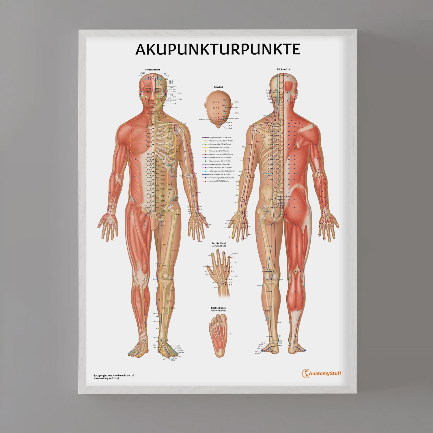 Akupunkturpunkte Chart / Poster - German