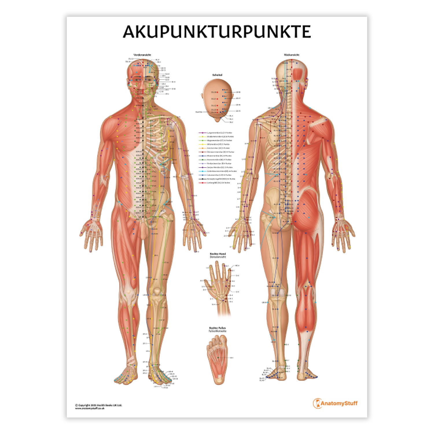 Akupunkturpunkte Chart / Poster - German