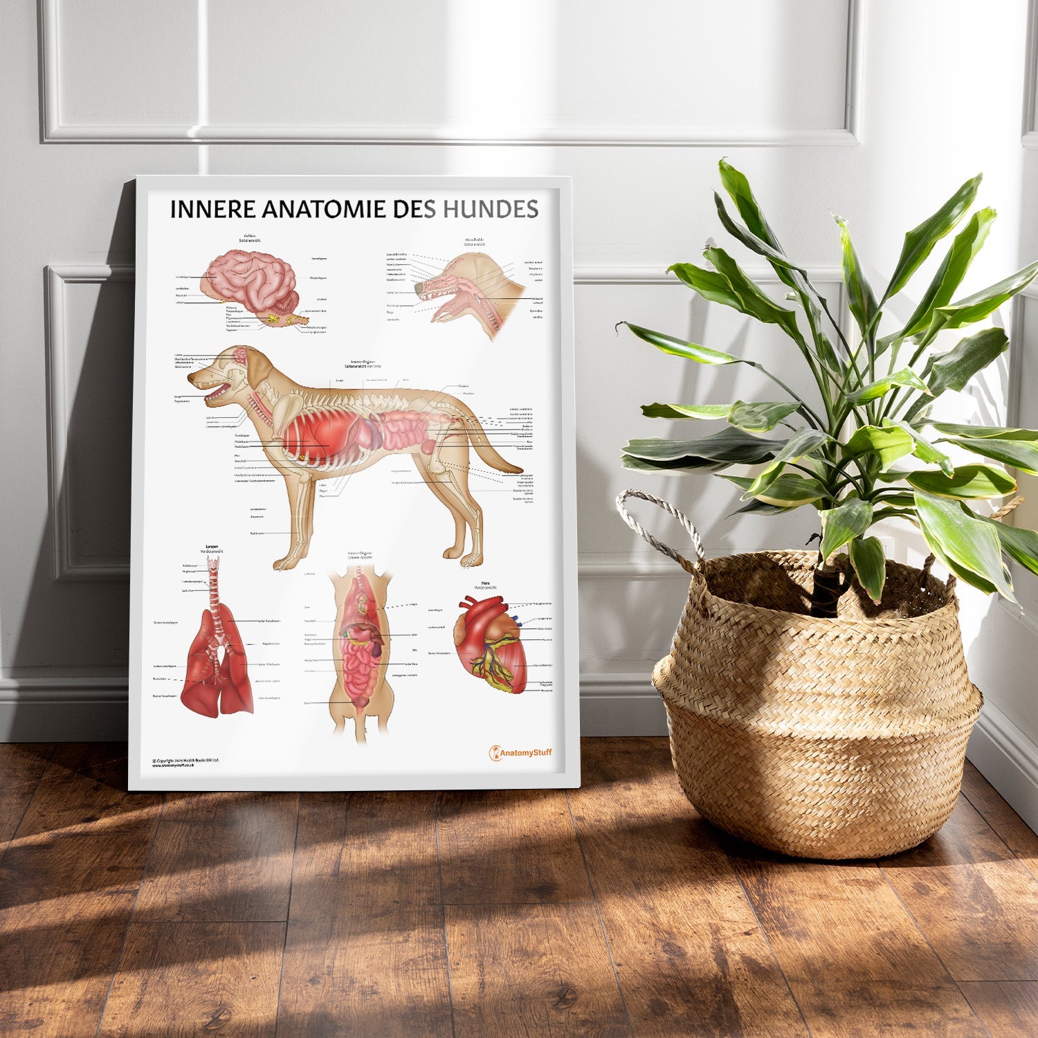 Innere Anatomie des Hundes Chart / Poster - German