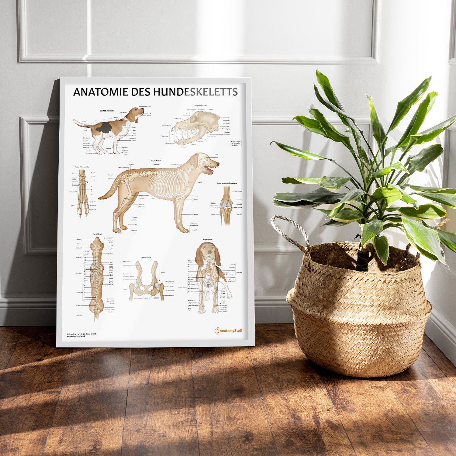 Anatomie des Hundeskeletts Chart / Poster - German