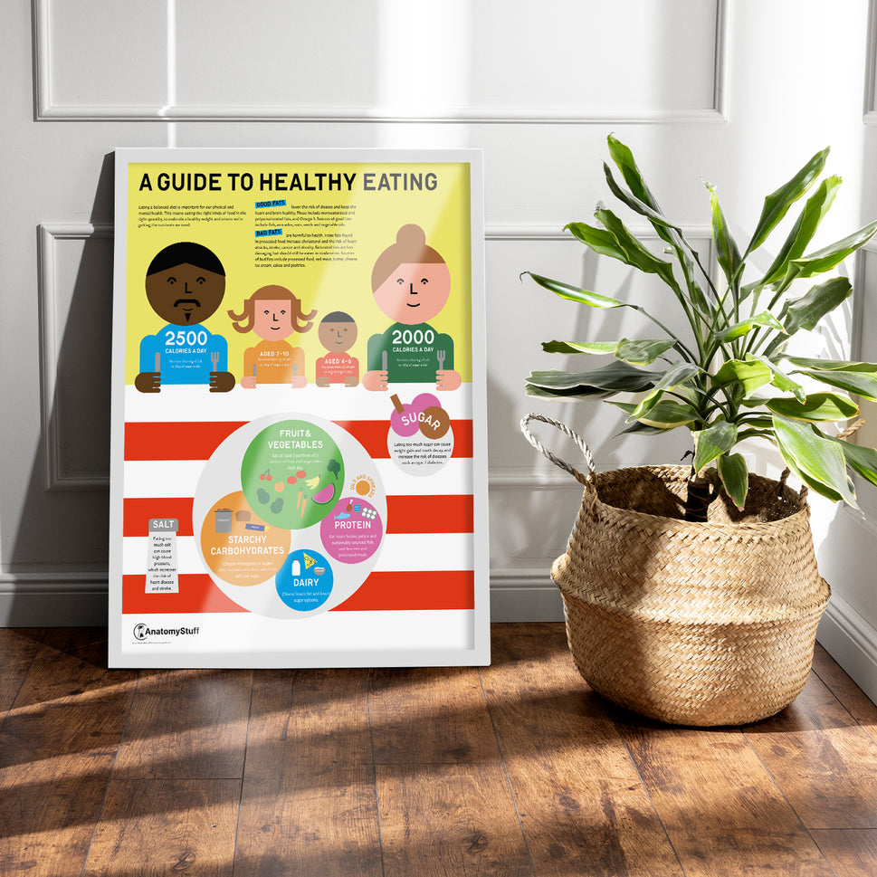 A Guide To Healthy Eating Chart / Poster