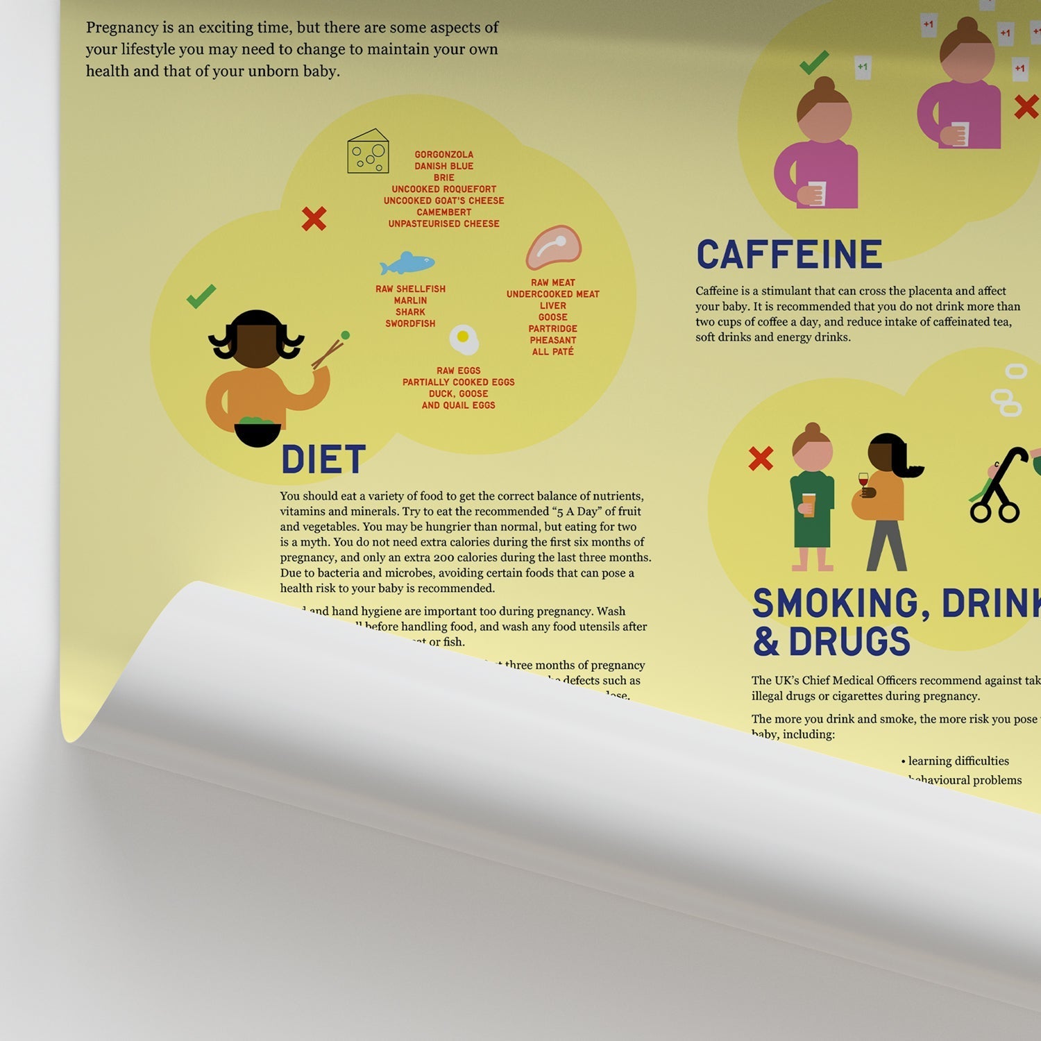 Guide to a Healthy Pregnancy Chart / Poster - Part of Collection