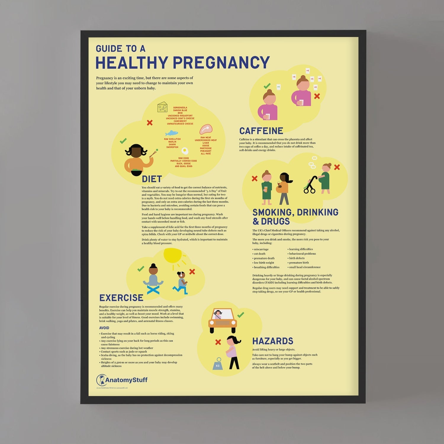 Guide to a Healthy Pregnancy Chart / Poster - Part of Collection