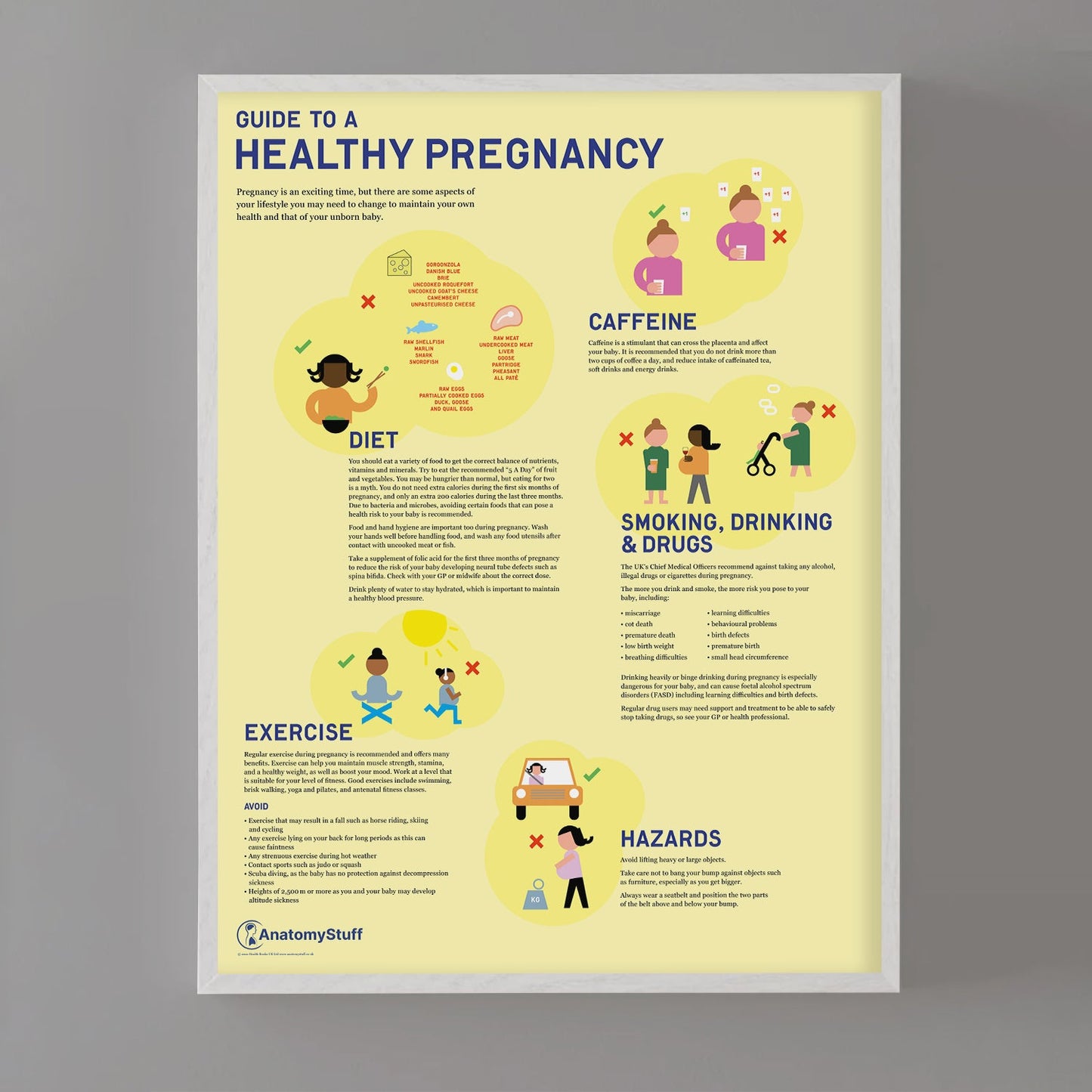 Guide to a Healthy Pregnancy Chart / Poster