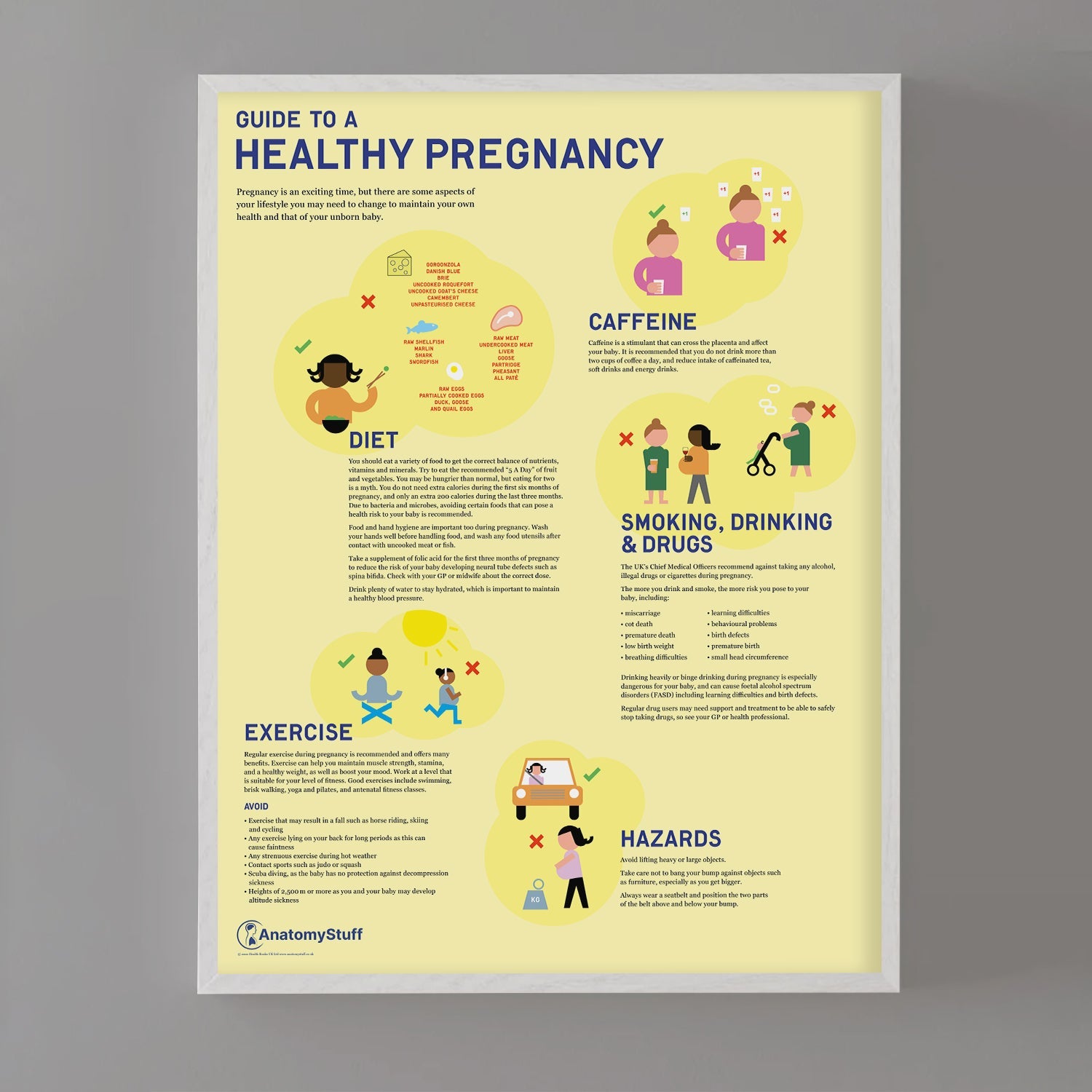 Guide to a Healthy Pregnancy Chart / Poster