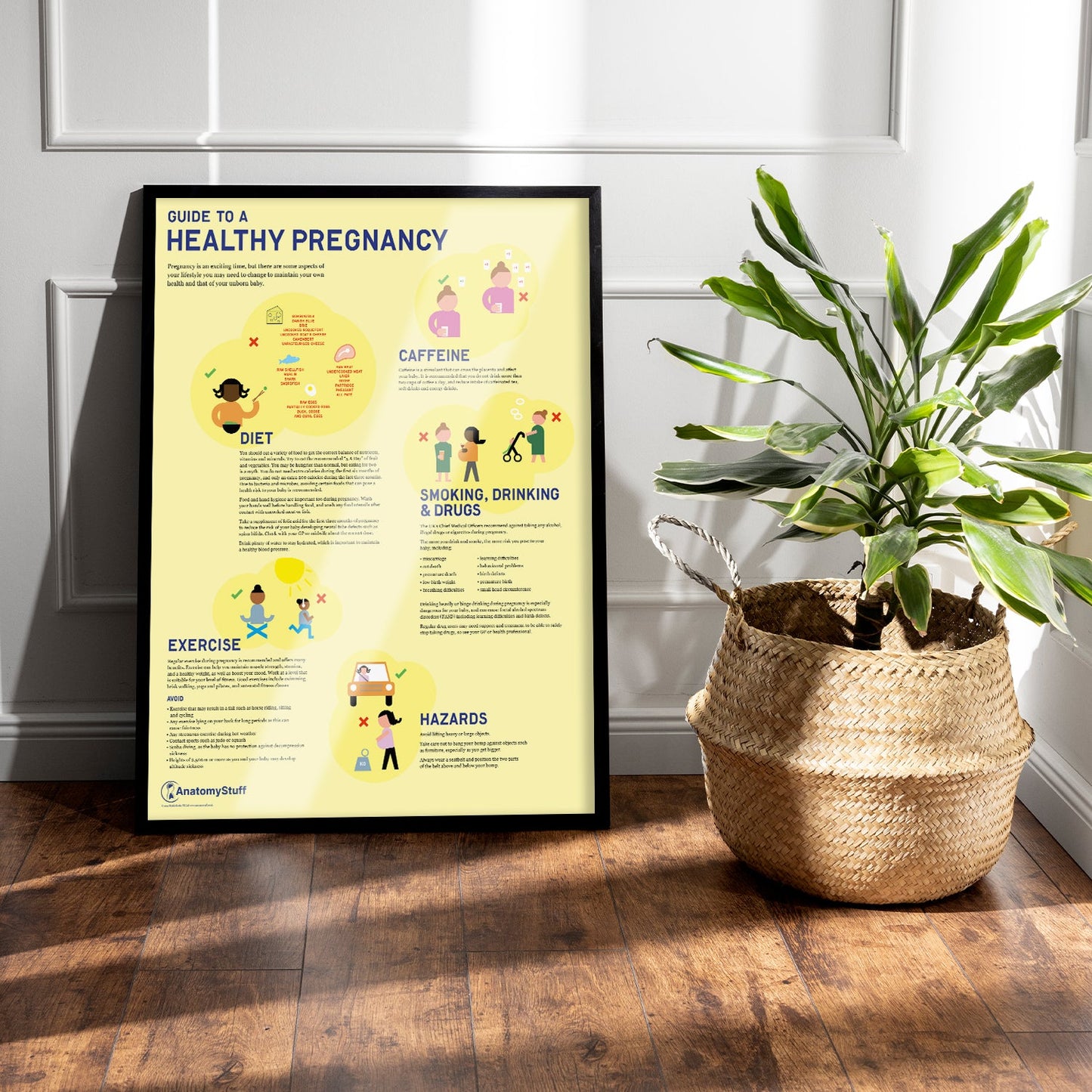 Guide to a Healthy Pregnancy Chart / Poster