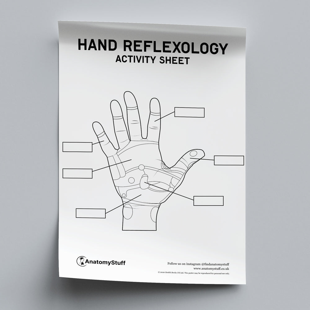 Hand Reflexology Activity Sheet PDF