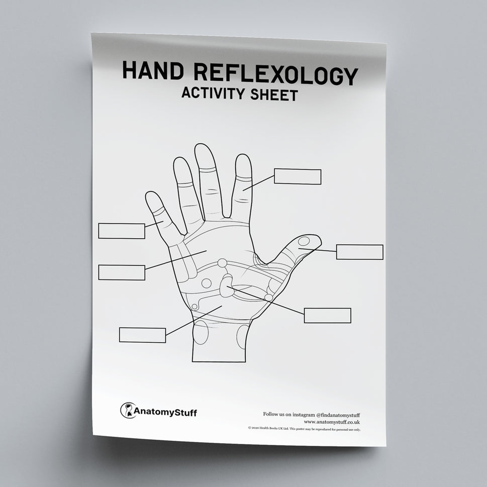 Hand Reflexology Activity Sheet PDF