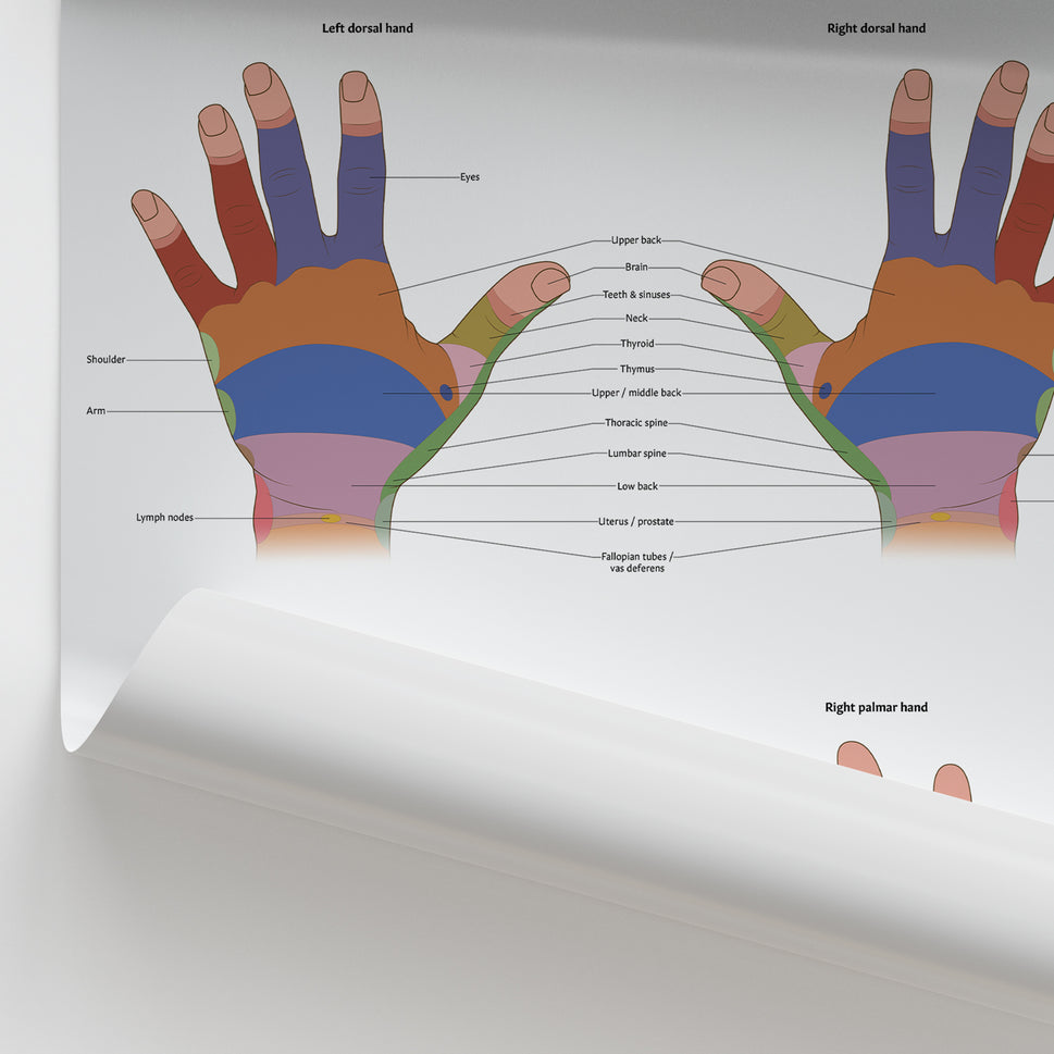 Hand Reflexology Chart / Poster