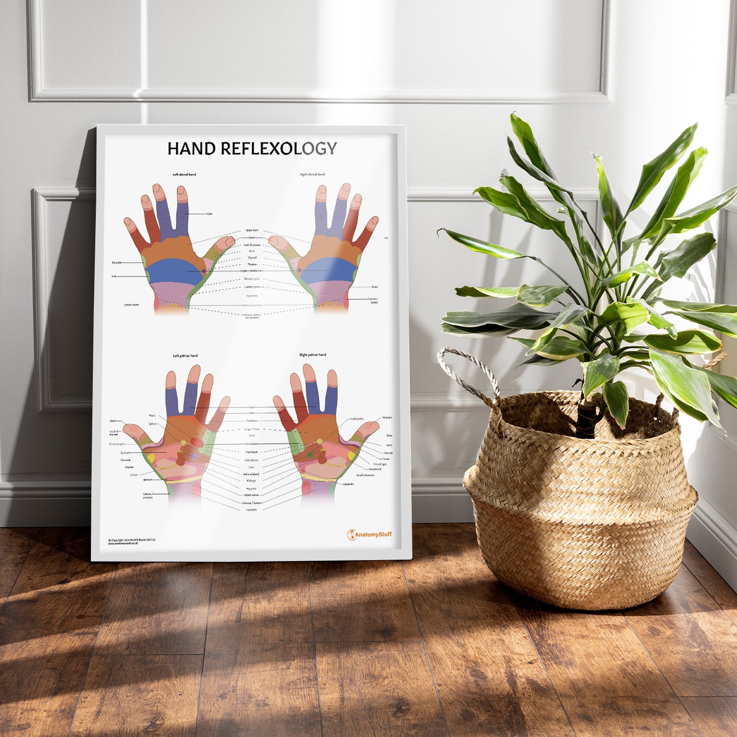 Hand Reflexology Chart / Poster - Part of Collection
