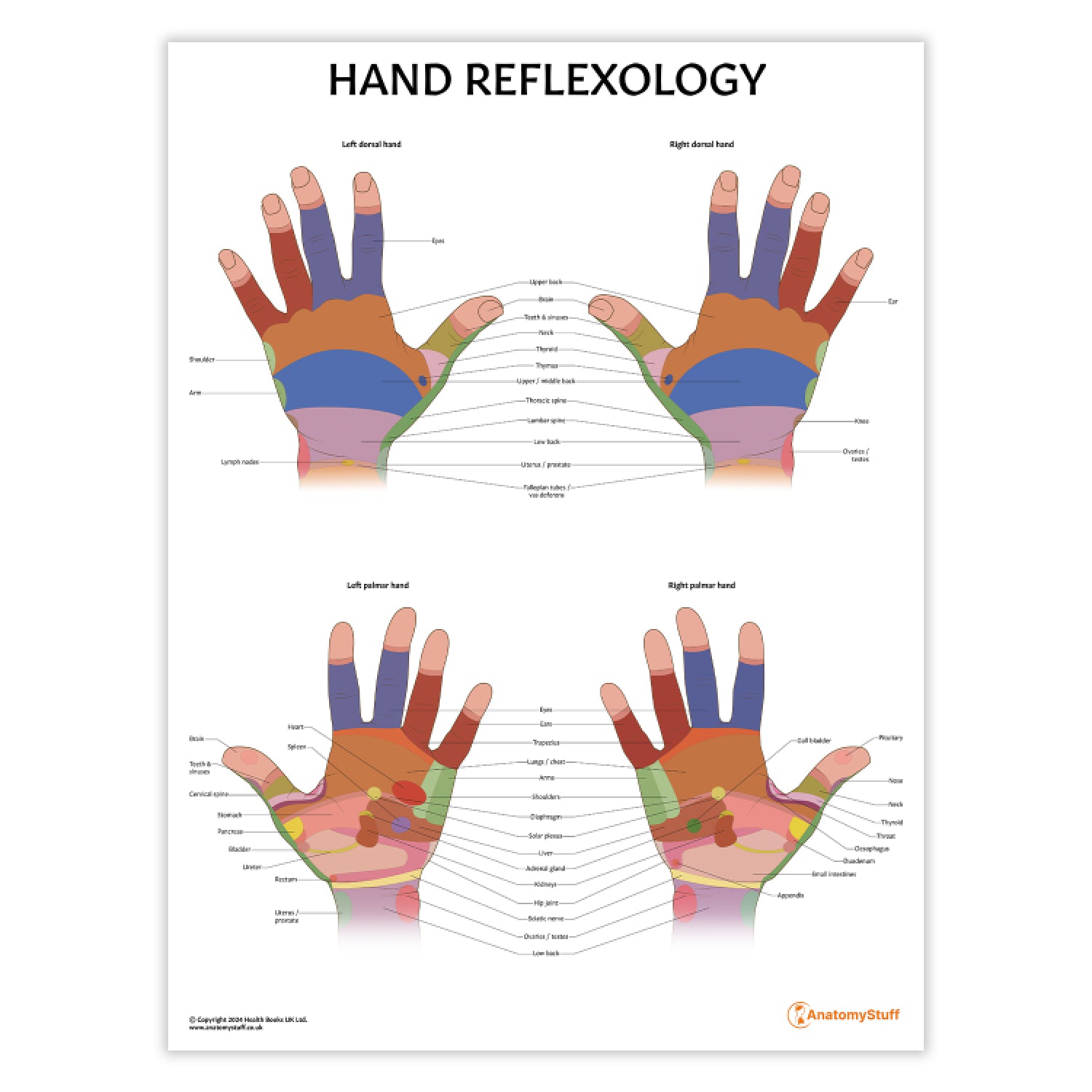 Hand Reflexology Chart / Poster