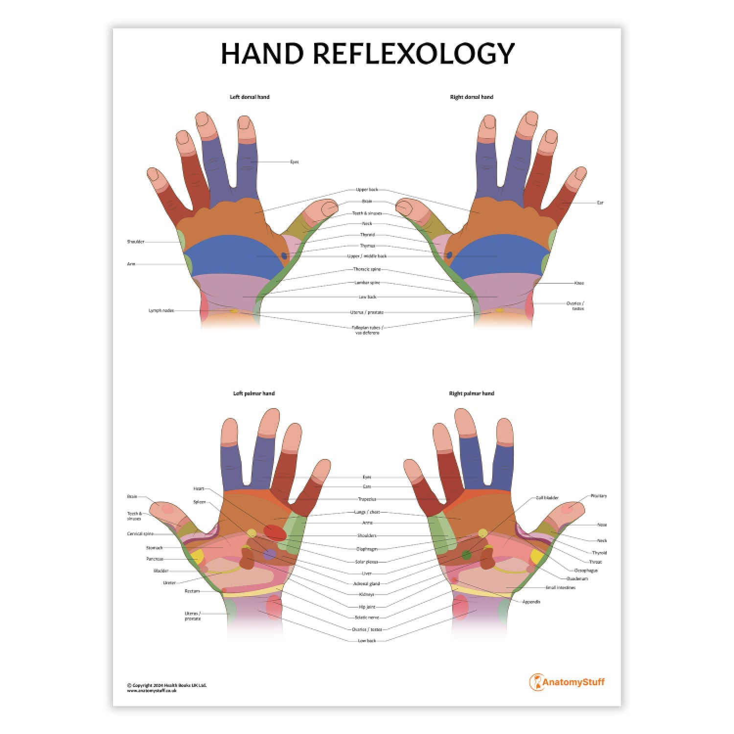 Hand Reflexology Chart / Poster - Part of Collection