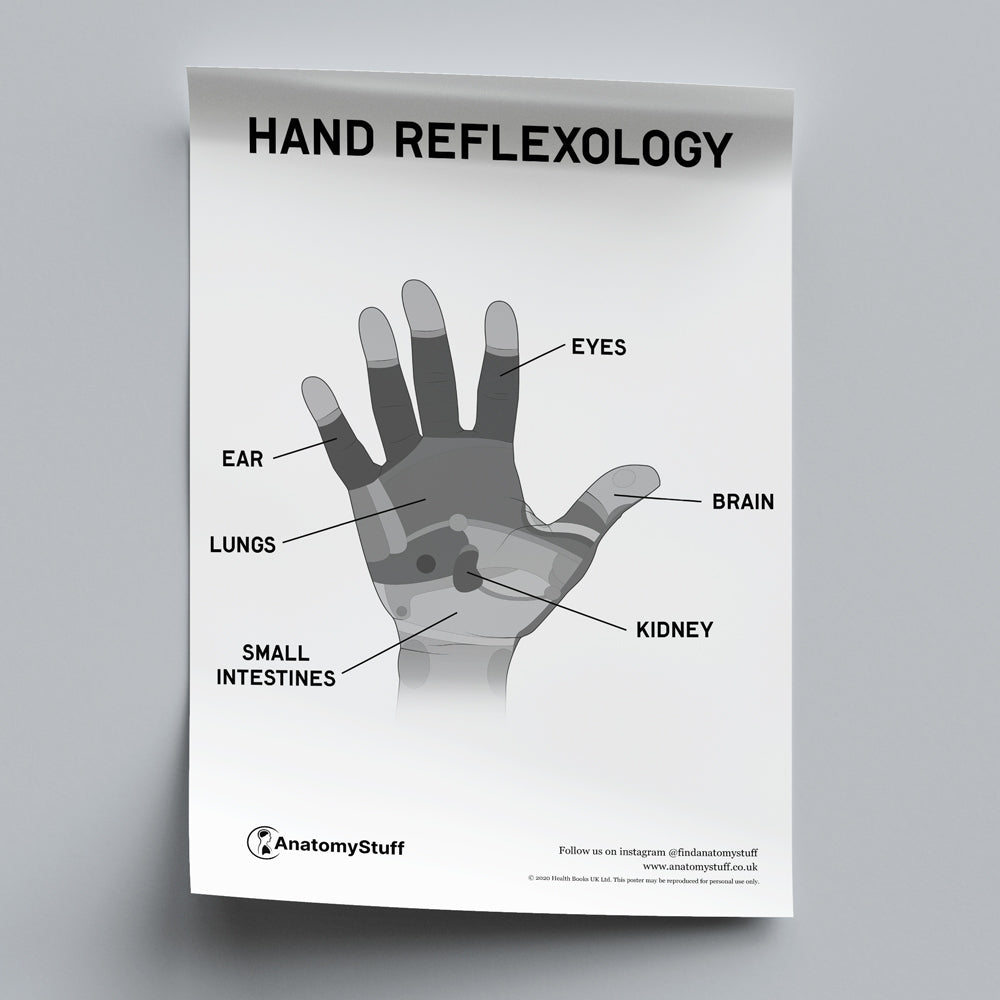 Hand Reflexology Poster PDF