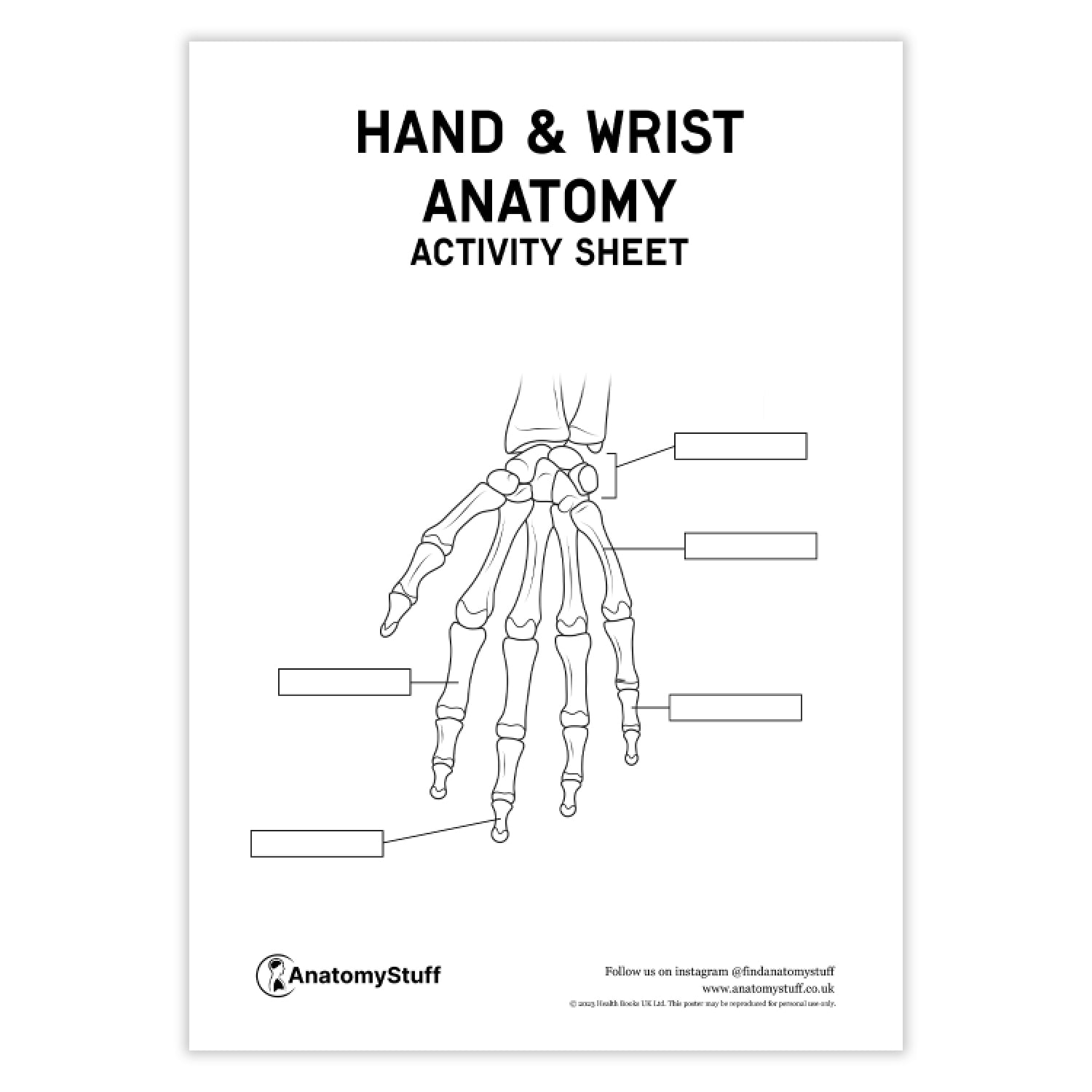 Hand & Wrist Anatomy Activity Sheet PDF
