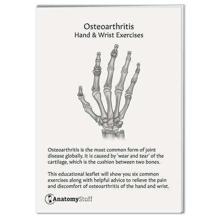 <strong>Hand & Wrist Exercises</strong>