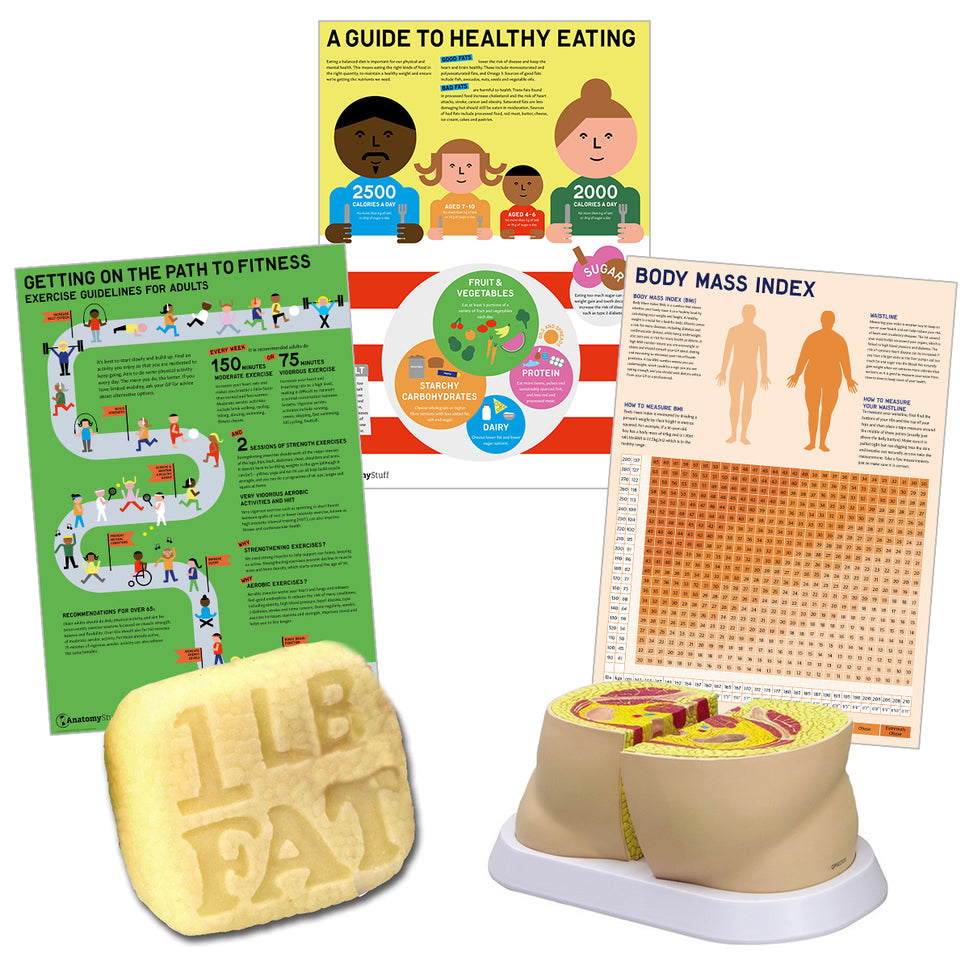 Healthy Weight Teaching Collection