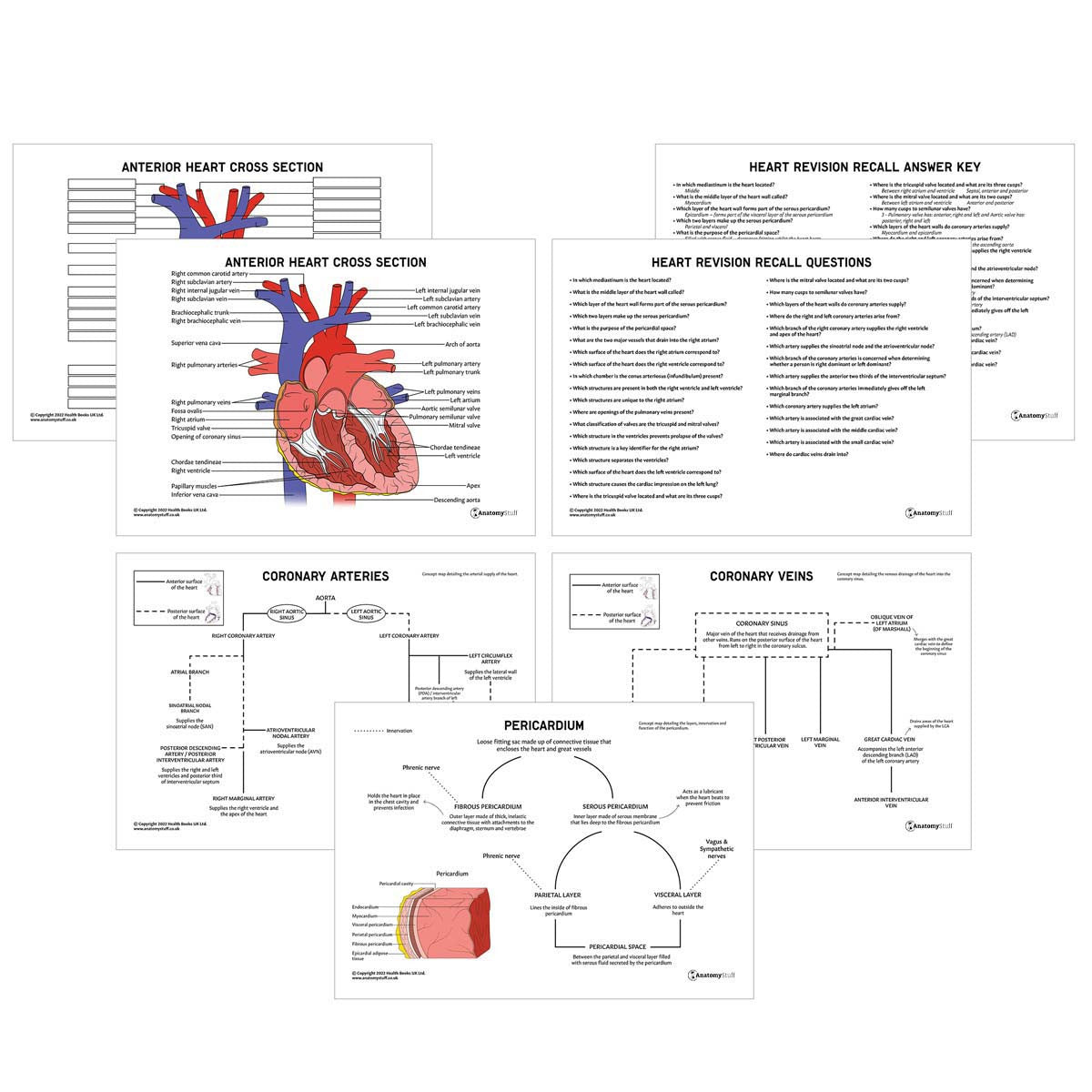 Heart Revision Guide Digital Download